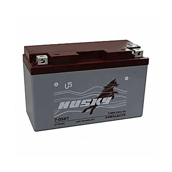Аккумулятор HUSKY AGM euro 12V 6,5 Ah GTZ7S