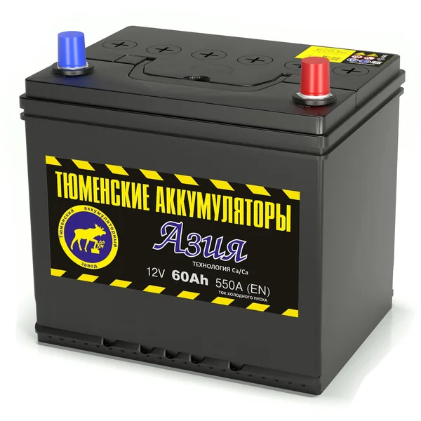 Аккумулятор ТЮМЕНСКИЕ АККУМУЛЯТОРЫ Asia 60 Ач 550 А (EN), обратная полярность, D23