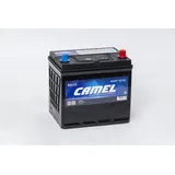 Аккумулятор CAMEL 65 Ач 600 А (JIS), обратная полярность, D23