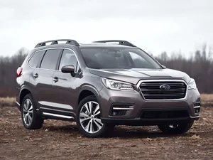 WM (2017–2022)